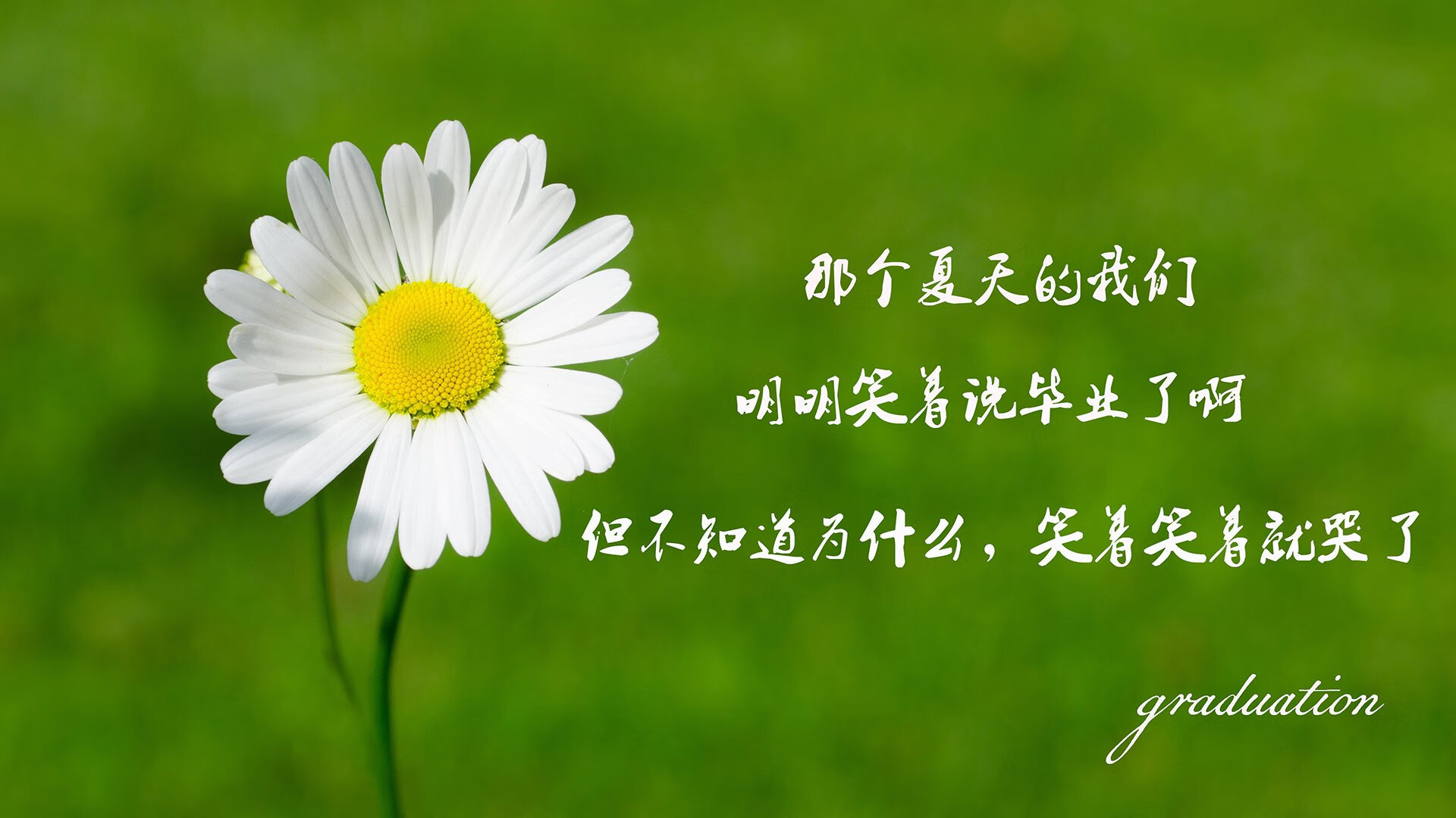 未来战术分析将在青训体系中占据主导地位，助推中国足球“弯道超车”
