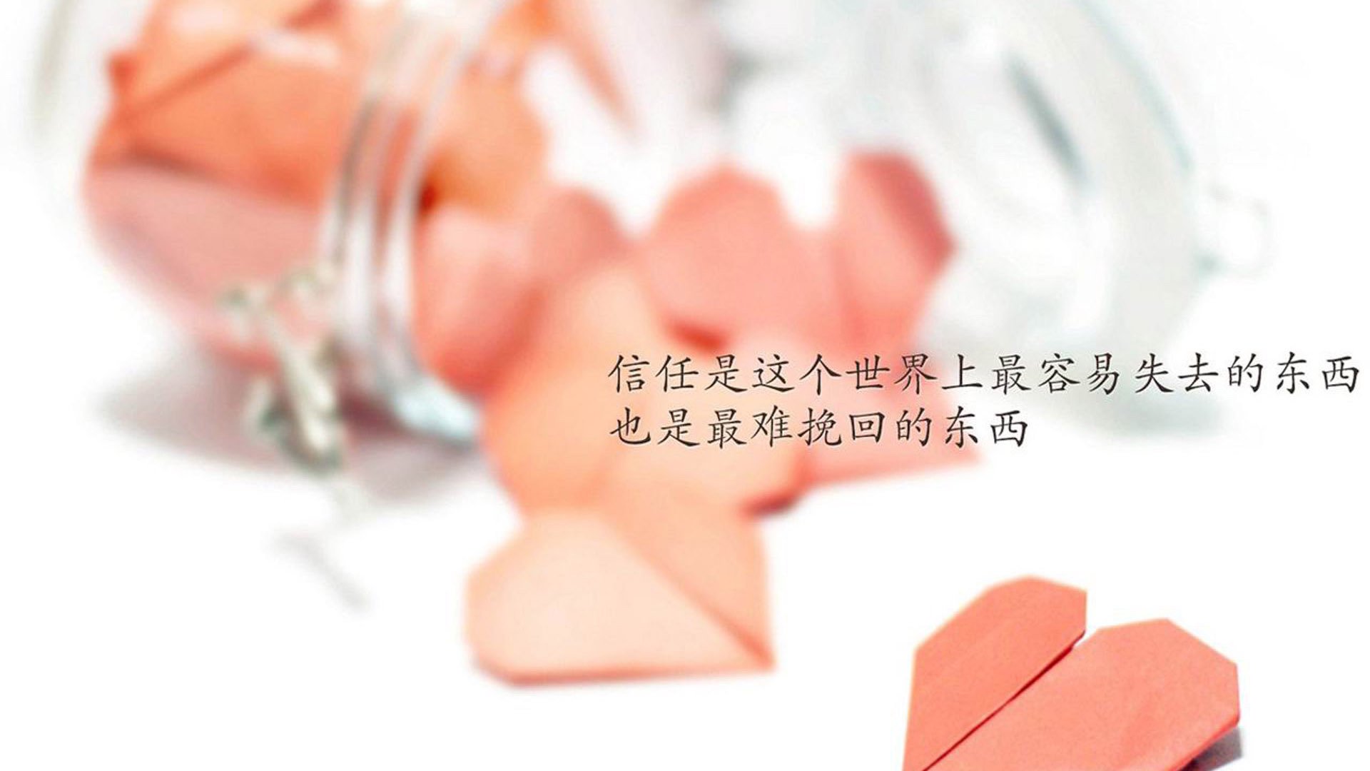 女足比赛中，中国队员郑某实力出众，中国女足被球迷亲切的称为