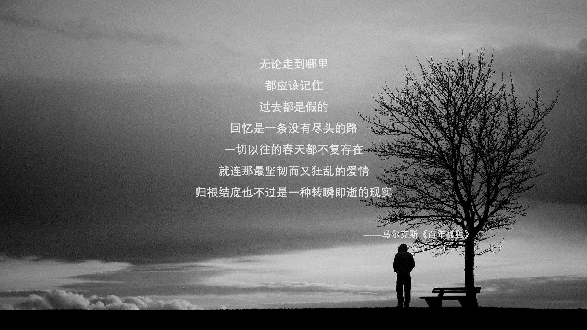 莱斯特城逆转三连胜，郑智神勇发挥，赛季表现令人惊艳，莱斯特城夺冠之路