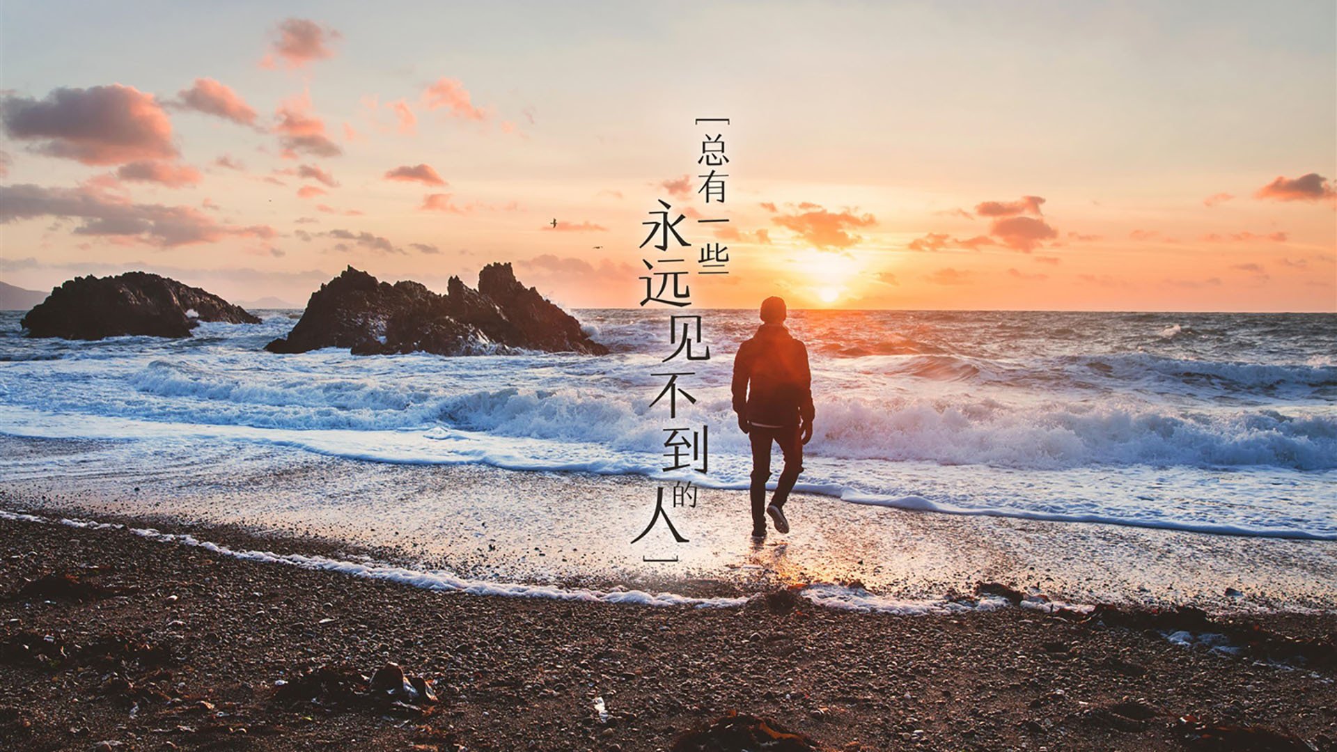 中国篮球联赛观众市场细分及营销策略，篮球赛观众须知