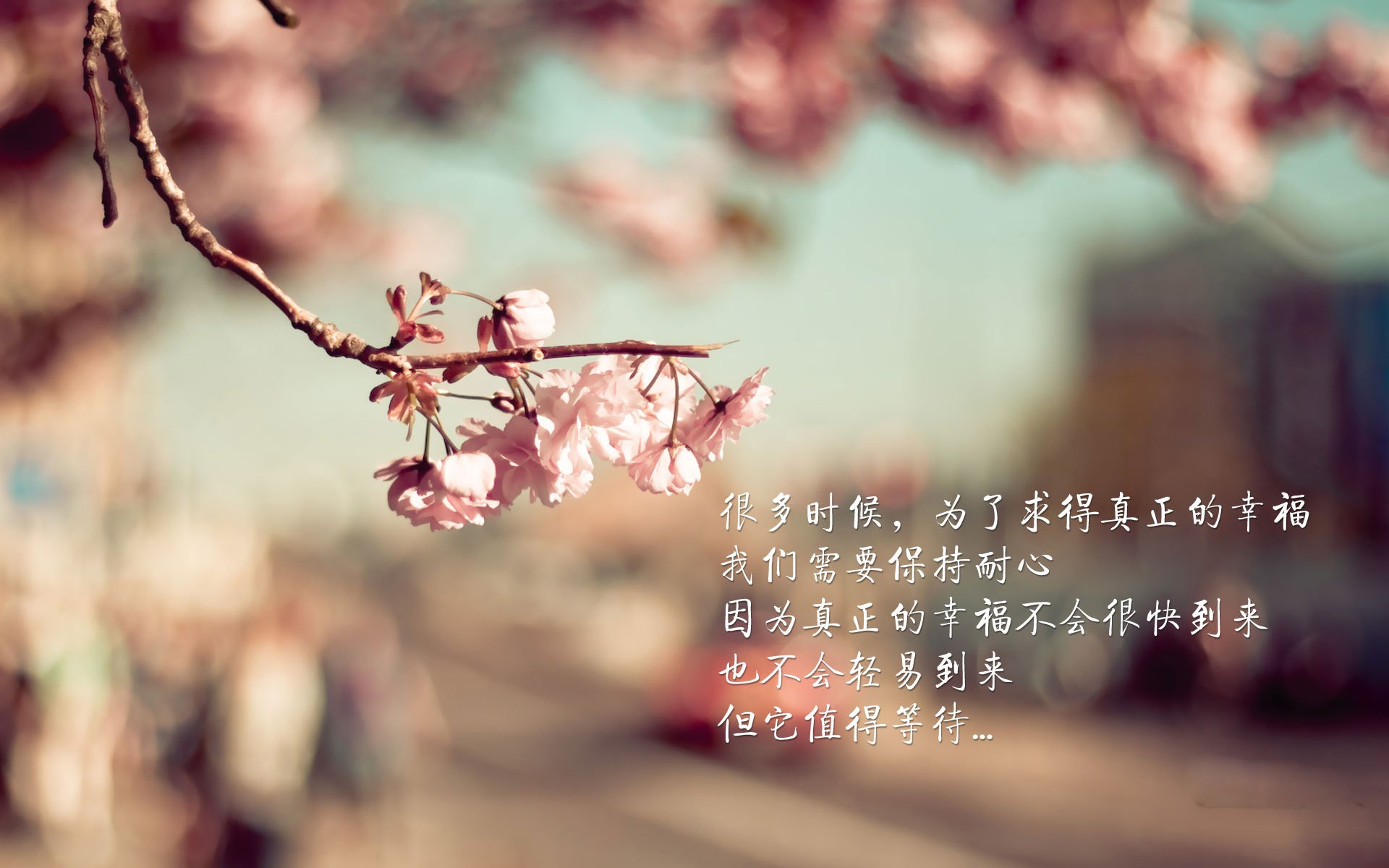 中国女篮技术动作日趋规范，女篮战术技巧