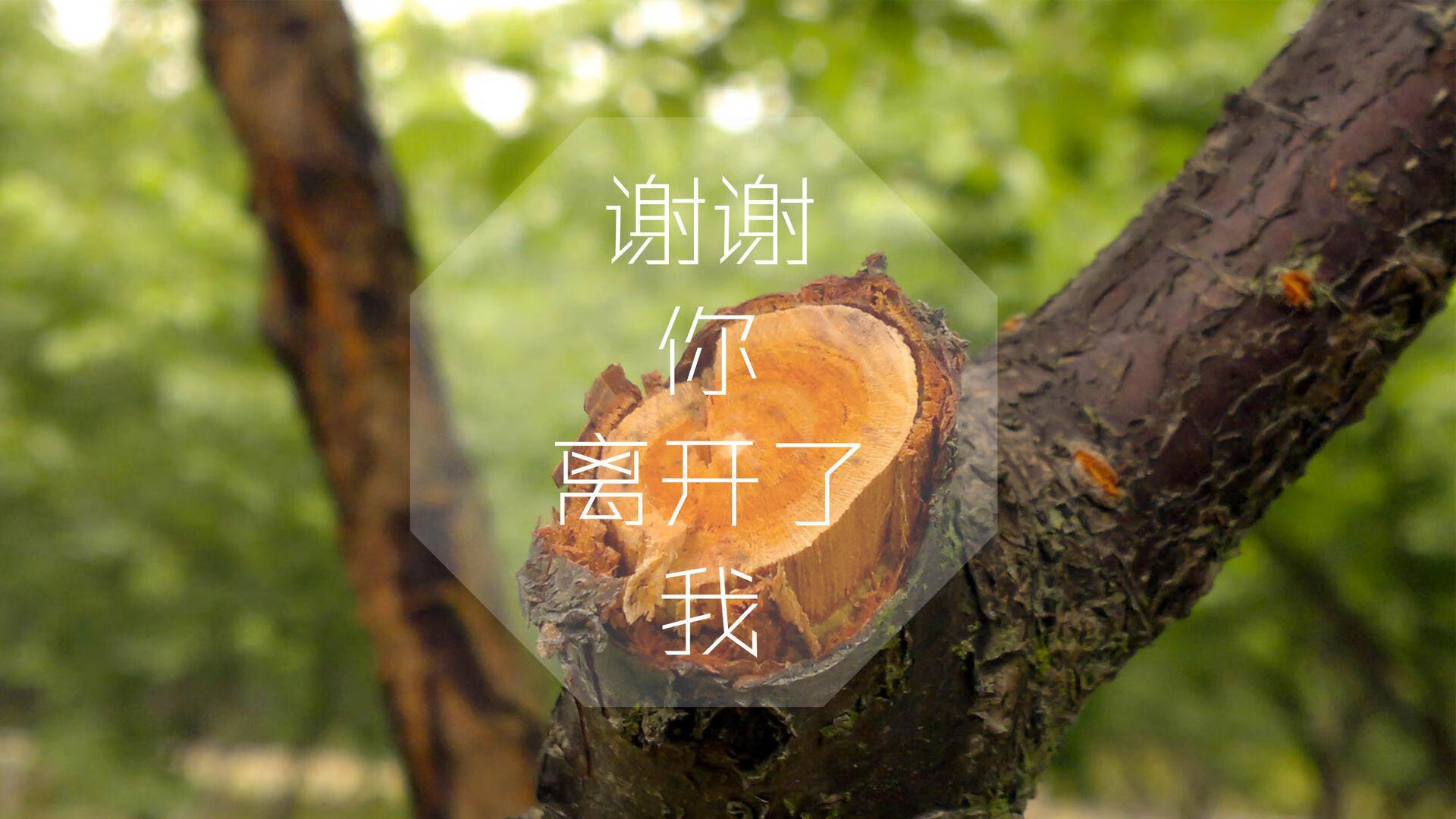 自由搏击赛事水平稳步提升，自由搏击日常训练项目