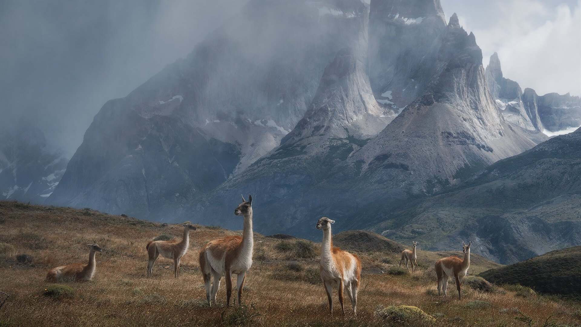 -公牛封闭集训期间重点练习篮板卡位技巧，公牛篮板王
