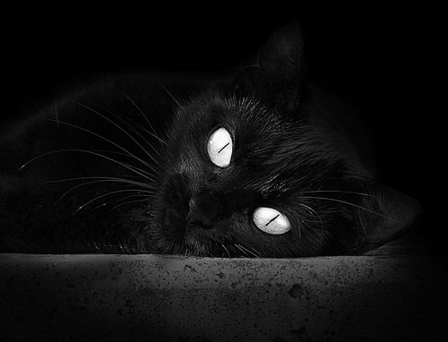 极限运动赛事内容进入短剧平台试点，极限运动表演