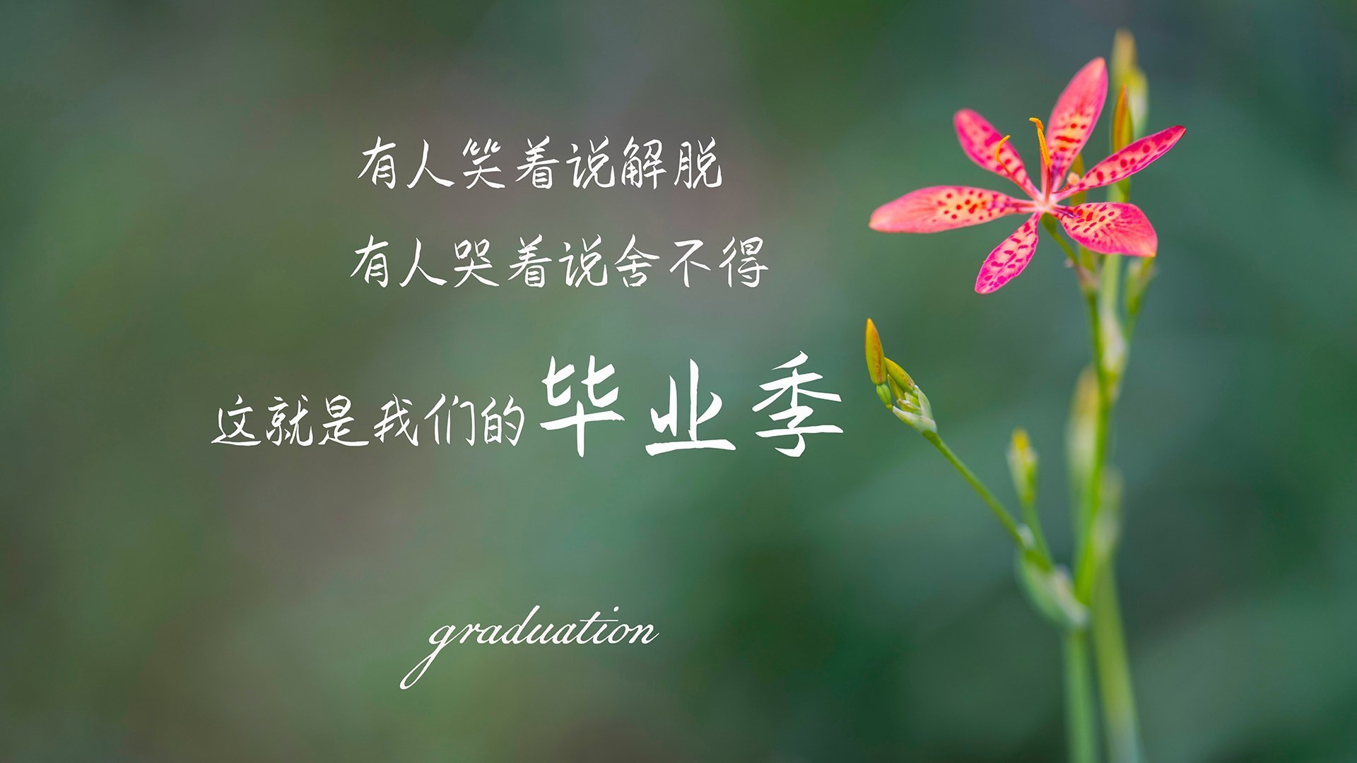 跨界合作的足球主题文化创意产业园逐步成型,推动体育产业升级